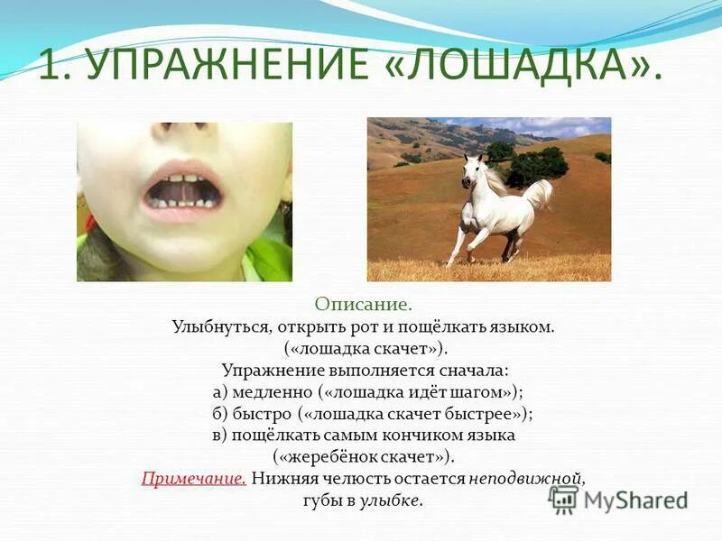 кони привередливые владимир высоцкий. 31 августа флор и лавр лошадиный праздник. лошадиные силы доклад. буклет по конному туризму. медленные лошади даты.