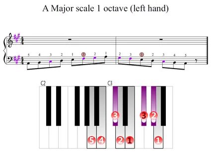 Piano major