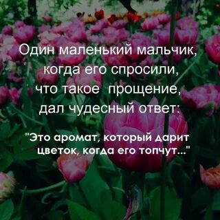 Этот цветок был когда то