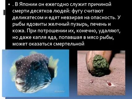 Опасность рыбы
