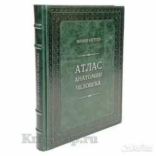 Атлас неттер 7 издание