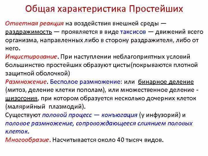 Ответная реакция 6. Ответные реакции клетки на внешние воздействия. Ответная реакция организма на воздействия внешней среды. Реакция клеток на внешнее воздействие кратко. Ответная реакция простейших на внешнее воздействие.