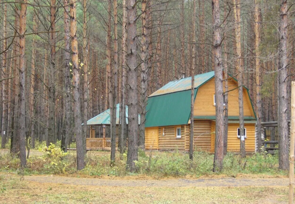 Снежок набережные. База снежок Набережные Челны. Снежок база отдыха Набережные Челны. Боровецкий лес база отдыха снежок Набережные Челны. Дубки база отдыха Набережные Челны.