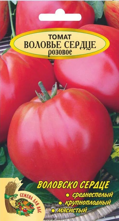 Томат розовое сердце описание сорта фото отзывы. Томат Воловье сердце Гавриш. Воловье сердце Минусинское. Сорт помидор Воловье сердце. Помидоры Воловье сердце Минусинское.