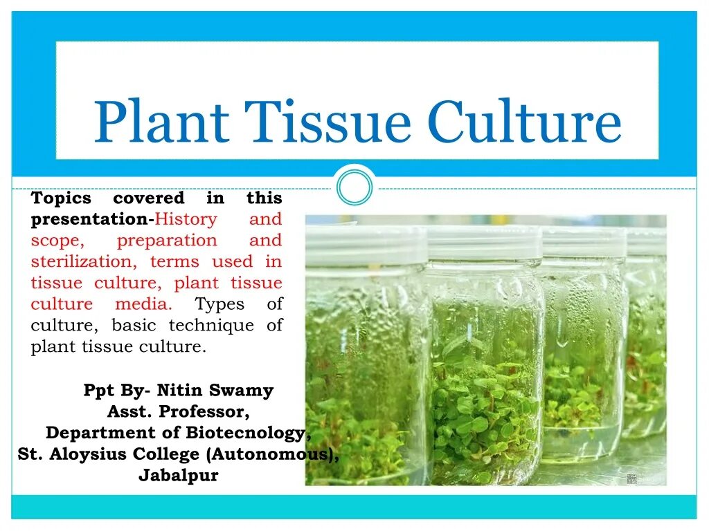 Cultures topic. Plant Tissue Culture. Plant Tissue Culture на русском. Plant Tissue Culture tube. Plant Tissue Culture Basics.