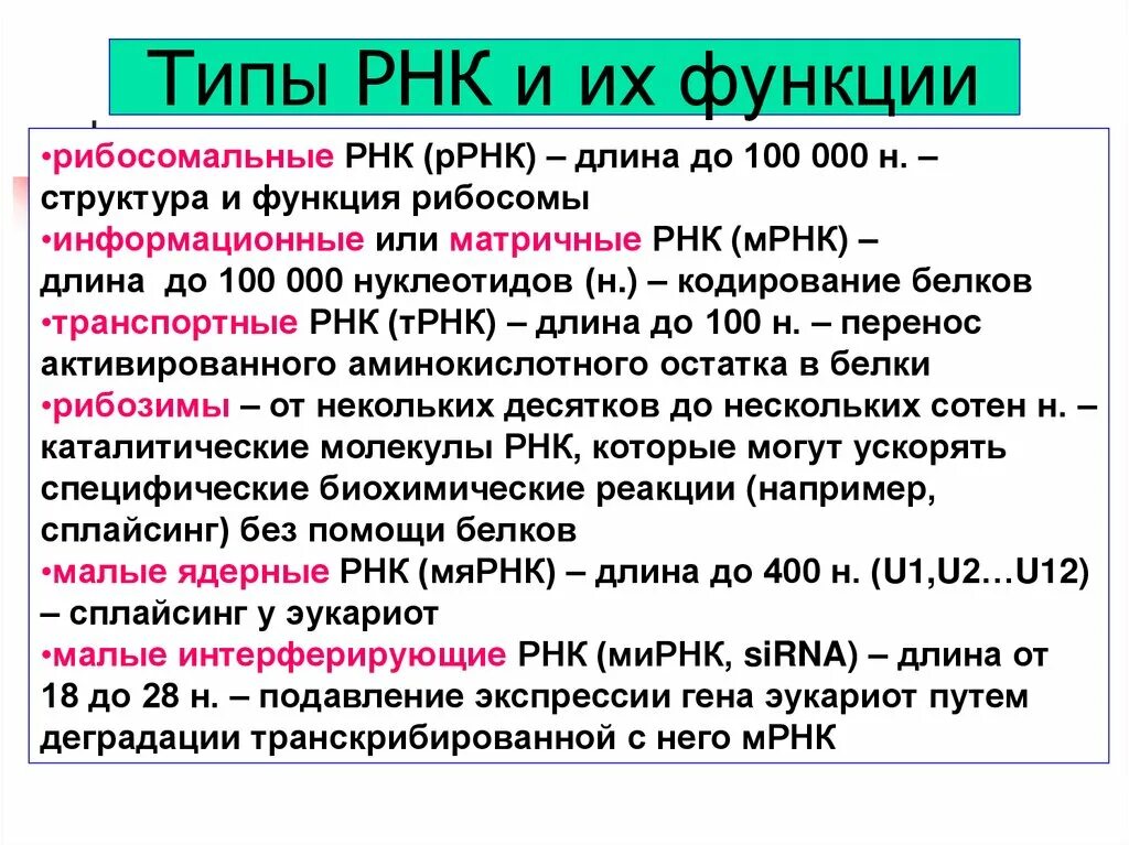 Особенности молекулы рнк. Общая функция всех видов РНК. РНК типы РНК функция. Функции различных типов РНК. Характеристика видов РНК.