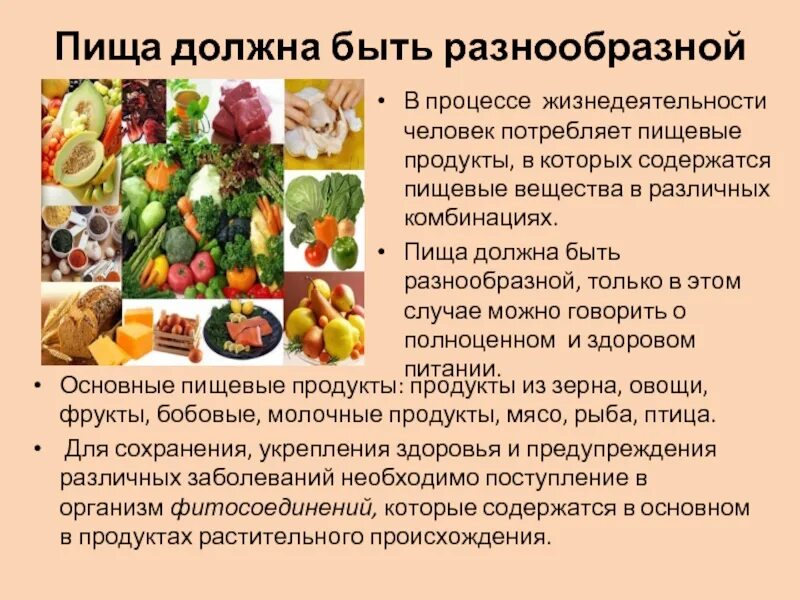 Какие продукты питания необходимо включить. Пища должна быть разнообразной. Здоровое питание питание должно быть. Роль здорового питания. Почему питание должно быть разнообразным.