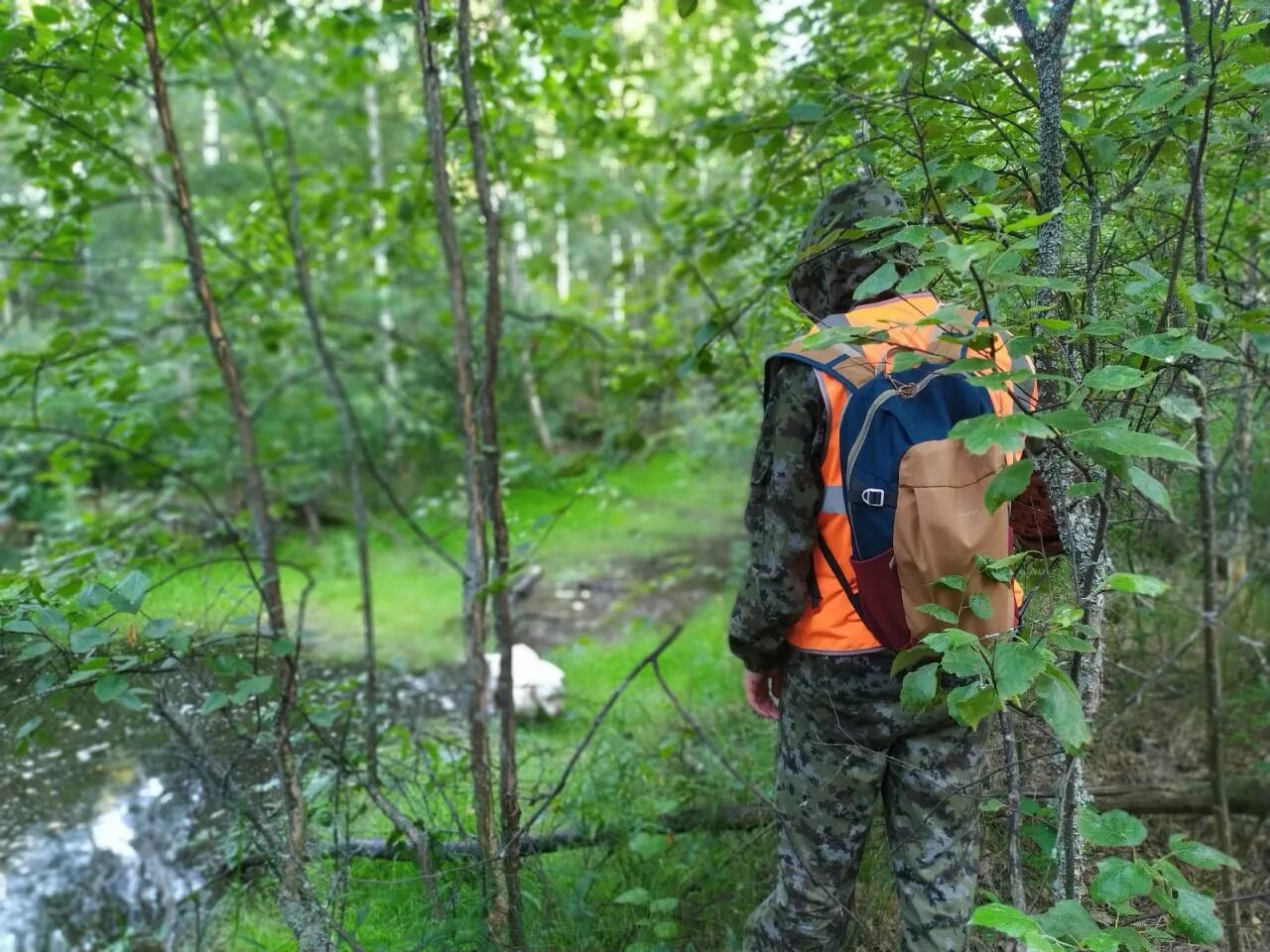 Потерялся в лесу. Мох помог грибникам выбраться из леса. Заблудился в лесу. Заблудившиеся в лесу 4. Заблудившиеся в лесу 4.
