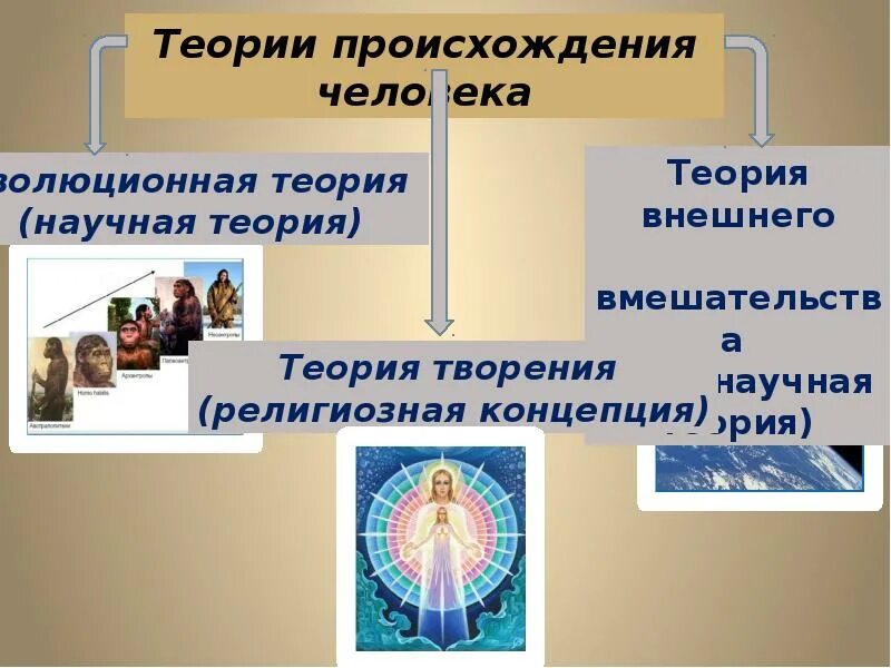 Основные теории происхождения человека это теория. Первая теория происхождения человека. Егэ. Таблица основные теории происхождения человека. Гипотезы происхождения человека таблица.