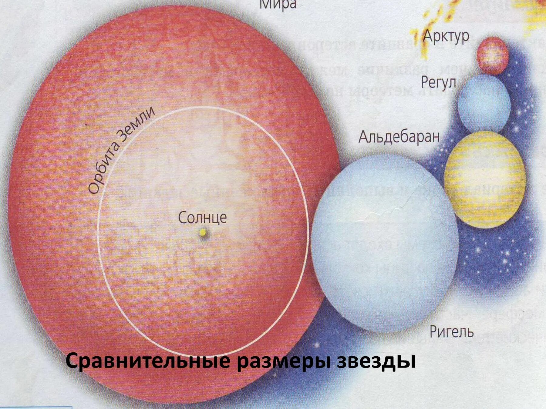 Сравнение размеров звезд. Размеры звезд. Сравнение звезд с солнцем. Сопоставление размеров звёзд. Регул солнце сириус