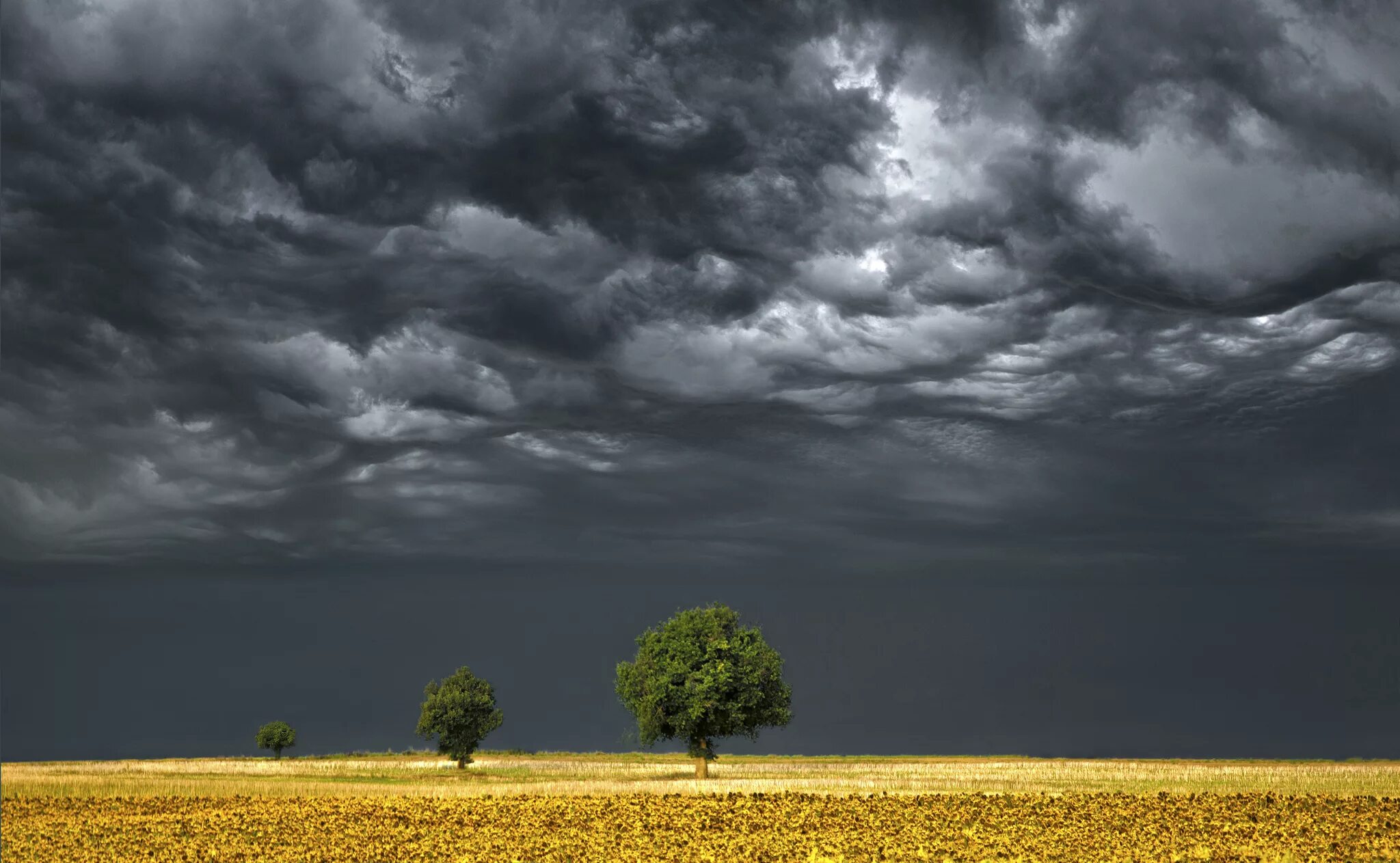 Cloudy june