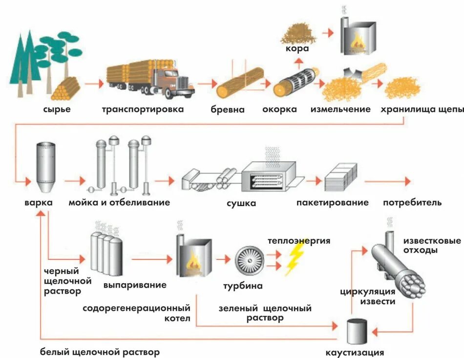 Форма организации производства бумаги. Производство технологической щепы для изготовления целлюлозы схема. Технологическая схема переработки отходов древесины. Технологический процесс производства целлюлозы из древесины. Технологическая схема производства древесной массы.