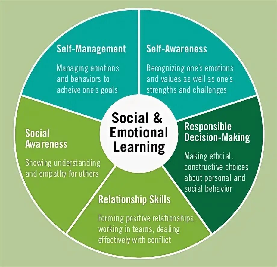 Self менеджмент. What are social-Emotional skills. Social Behavior. Social and Emotional skills.