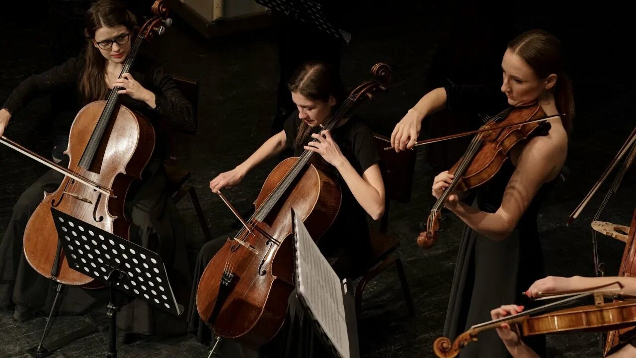 Играющий оркестр. Лучшие классические произведения. Дуэт скрипка и виолончель. Музыкальное искусство. Современный оркестр.