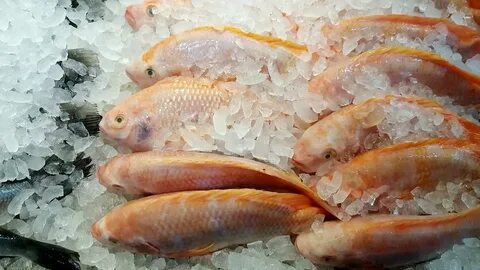 Вкусная замороженная рыба