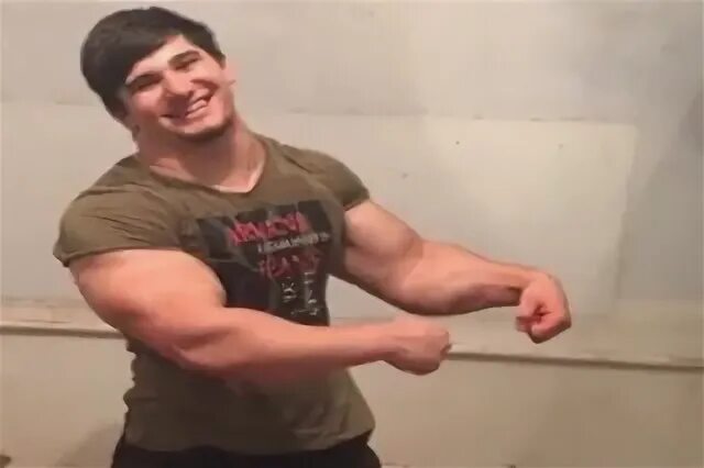 Мемы тамаева