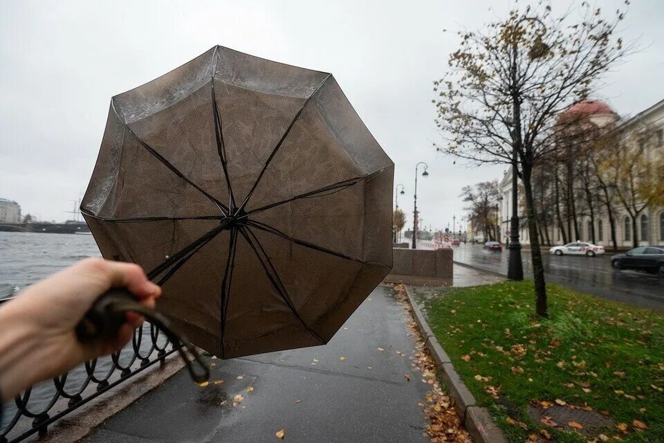 Сильный ветер в Петербурге. Дождь в Петербурге. Три дня дождя Санкт Петербург. Петербург под дождем. Порывы ветра 10