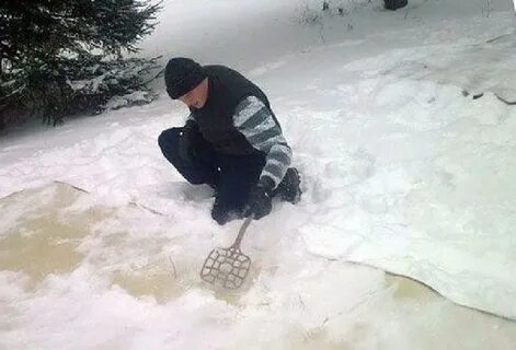 Ковер снега