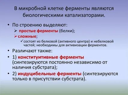 Лабораторная работа по биологии ферменты биологические катализаторы