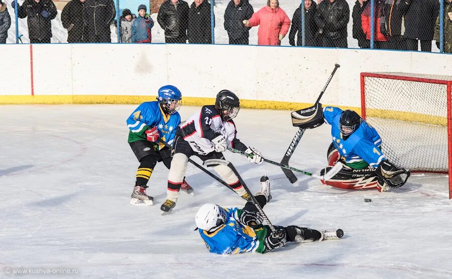 хк горняк 2010