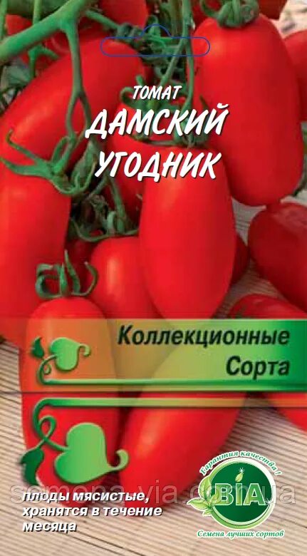 Томат сорт дамский угодник. Семена томат Дамский угодник. Томат Бабий угодник. Томат искуситель. Томат Дамский угодник характеристика.