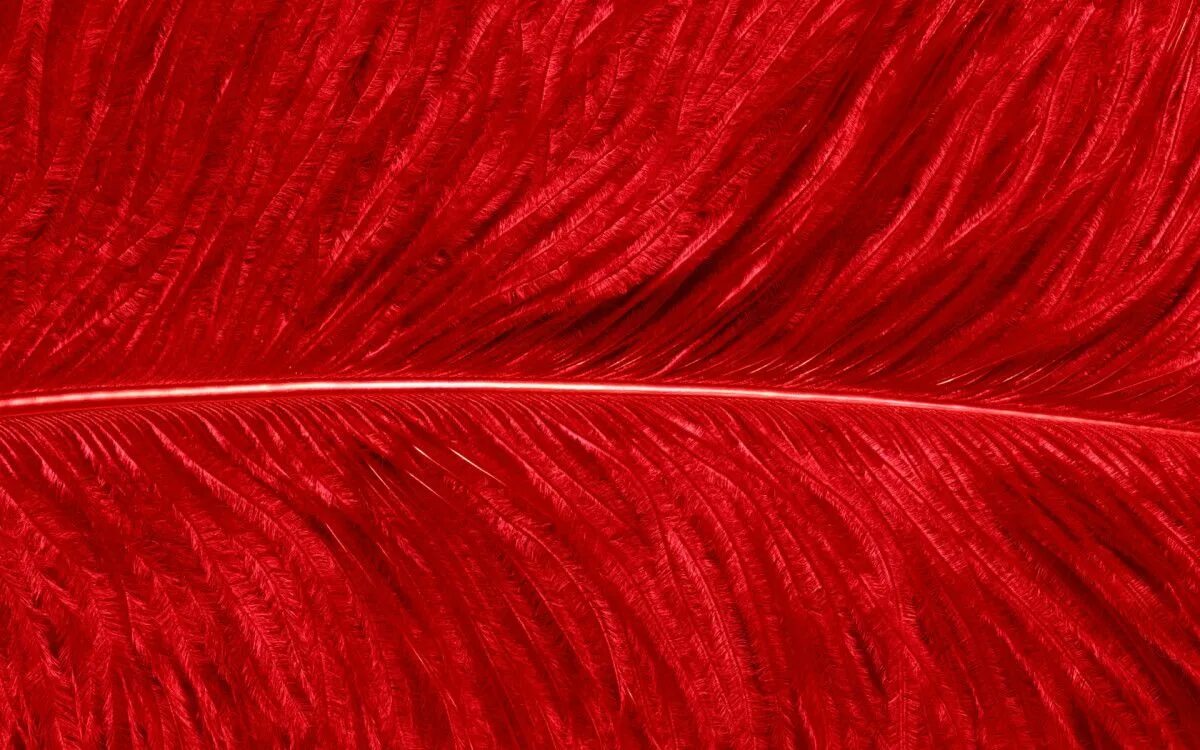 Red can be the colour of danger. Red can be the colour of danger