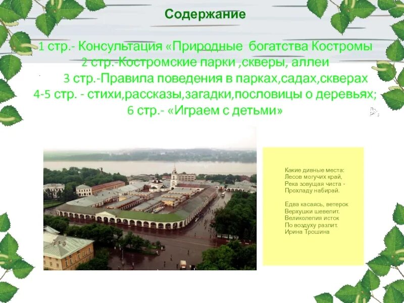 Кострома доклад 3 класс окружающий. Проект город Кострома. Природные богатства Костромы. Природа Костромской области проект. Памятники природы Костромской области.