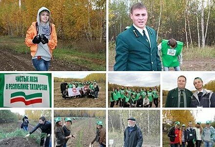 Эмблема Министерства лесного хозяйства Татарстан. Комитет по охране природы