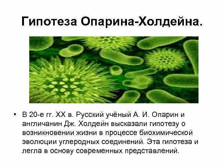 Гипотезы о жизни Опарина. Гипотезаопарино Халдейна. Основные гипотезы Опарина Холдейна. Основные положения гипотезы Холдейна.