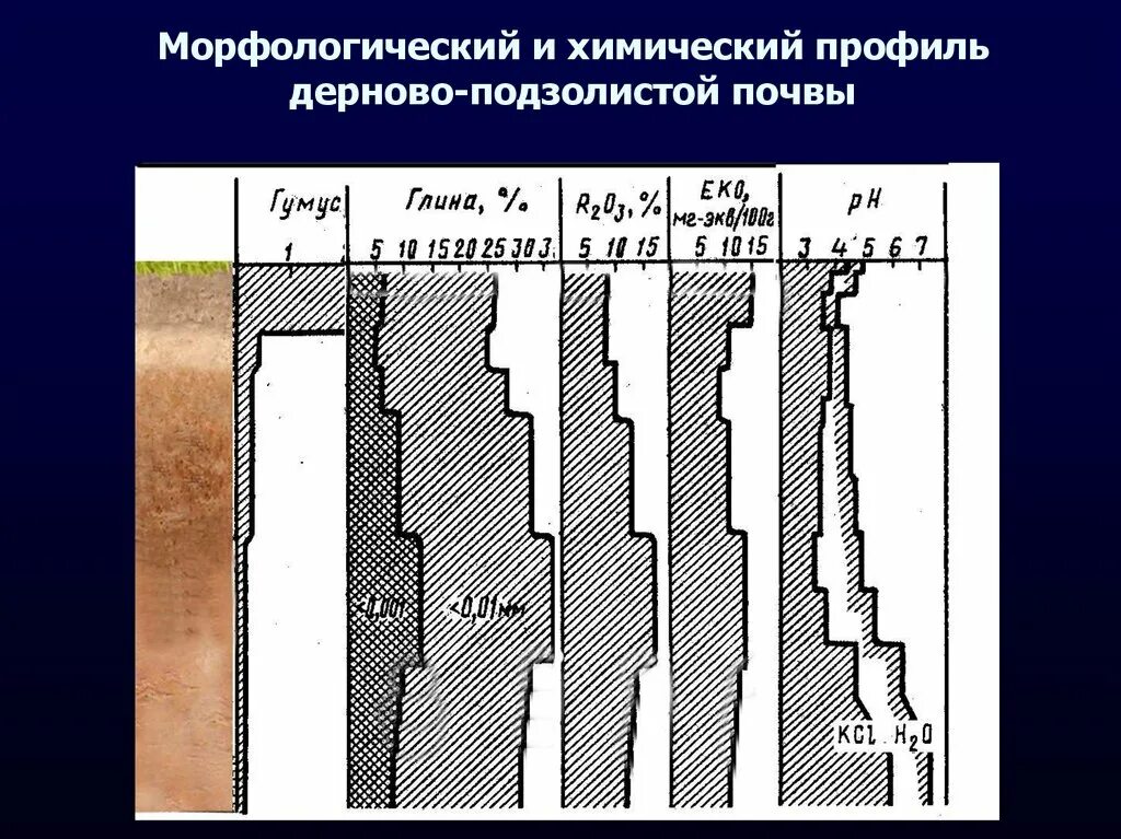 Подзолистые почвы коэффициент. Дерново-подзолистые почвы профиль. Почвенный профиль дерново-подзолистых почв. 3. Дерново –подзолистые почвы. Химический профиль подзолистой почвы.