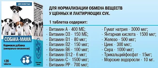 Собака-мама 120 таб.. Собака мама витамины для беременных. Витамин а для собак дозировка. Собака мама витамины