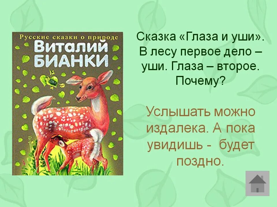 Глаза и уши бианки. Глаза и уши. Сказки.. Произведения Виталия Бианки глаза и уши. Сказка Бианки глаза и уши.