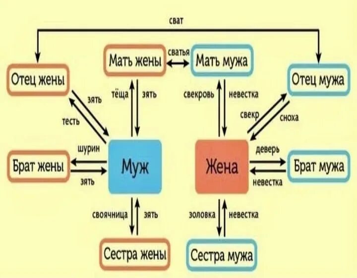 Названия родственников. Мать мужа для жены. Муж сестры. Схема родственных связей. Жена брата на камеру