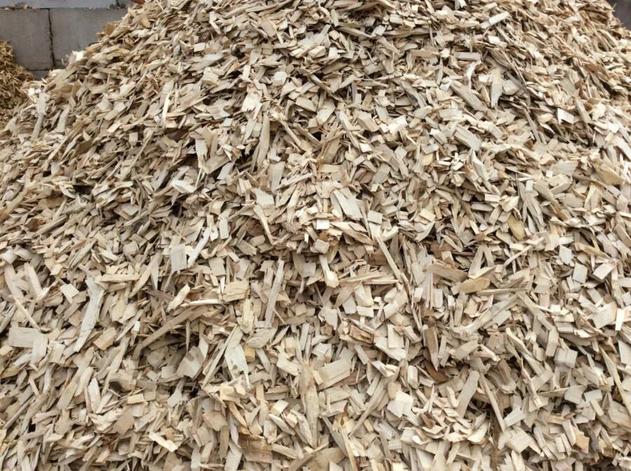 Можно ли свежие опилки. ГБС опилки. Woodchips фирма опилки. Крупные опилки. Древесная щепа для мульчирования.