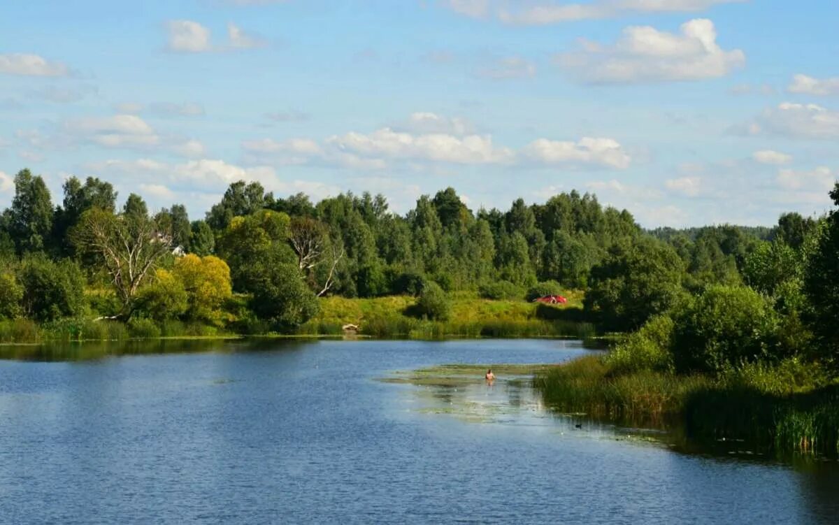 реки города рославль смоленская область. смоленская область на карте с кем граничит. пейзажи смоленской области. карта россии смоленск на карте. кардымово город.