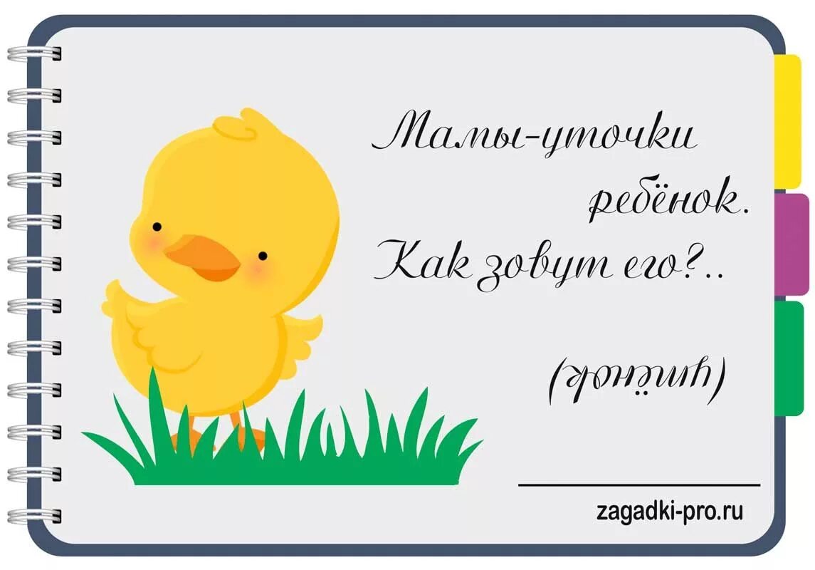 Предложение со словом утенок. Уточка проверочное слово. Разделить слово уточка. Разделить слово уточка. Утка с удочкой.