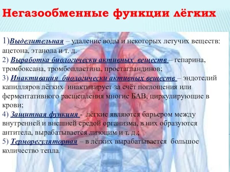 Легкие функции. Негазообменные функции системы дыхания. негазообменные функции легких. выделительная функция легких. негазообменные функции легких выделительная.