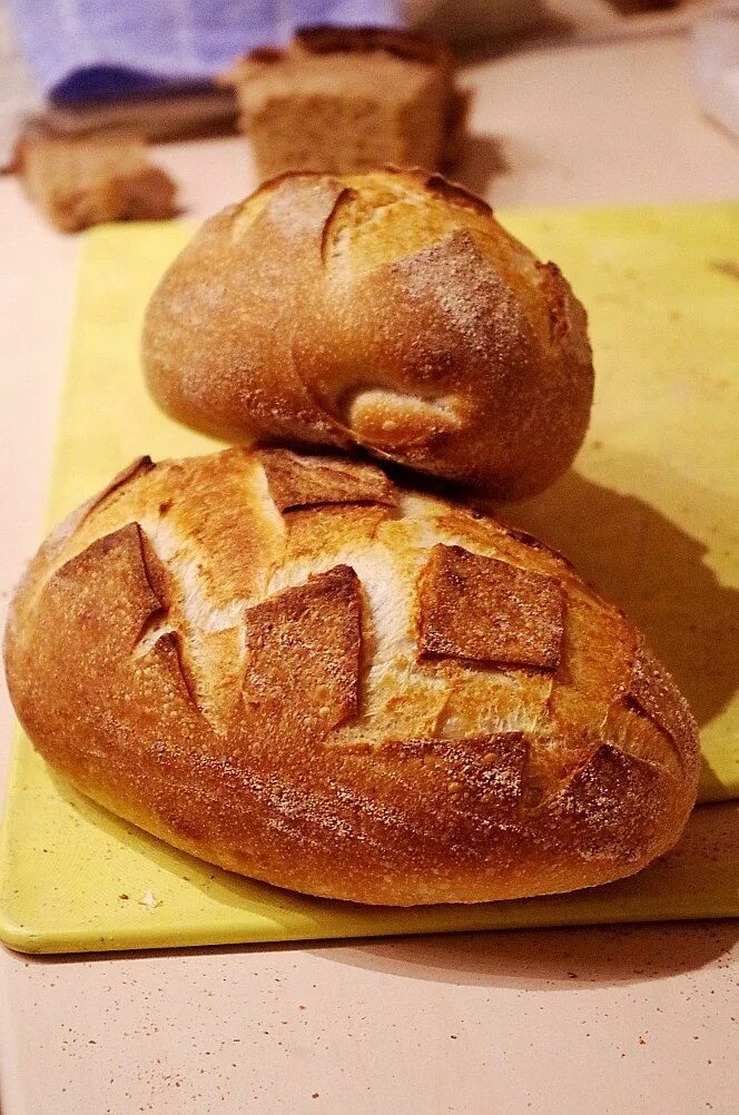 Блюда в булке. Хлебные булочки. Булка французские улочки. Булочки несладкие вместо хлеба. Хлеб тартин на закваске.