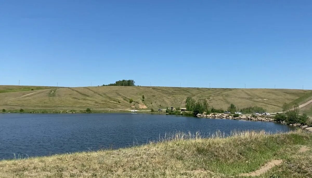 Комсомольск алтайский край. Село шахи Павловского района Алтайского края. Село шахи Павловского района. Поселок Комсомольский Павловский район Алтайский край. Пруд село шахи Алтайский край.