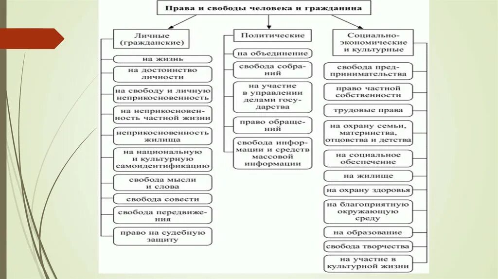 Установите соответствие между конституционными правами