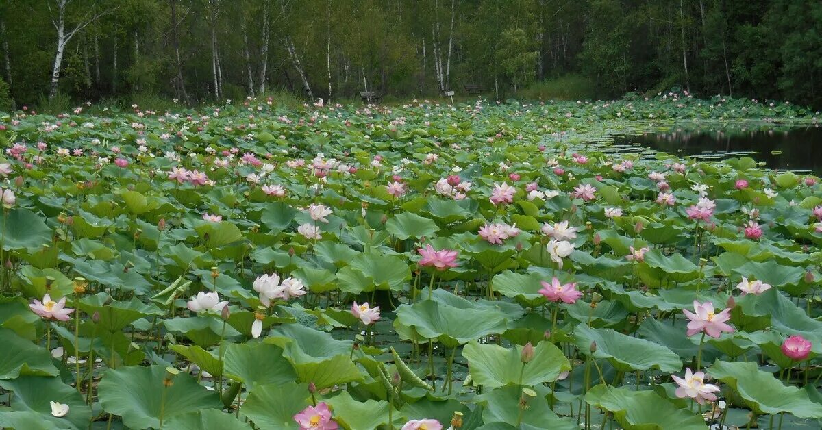 ВЛАДИВОСТОК. Рубрика "здесь должен побывать каждый!" - достопримечтальности, цен