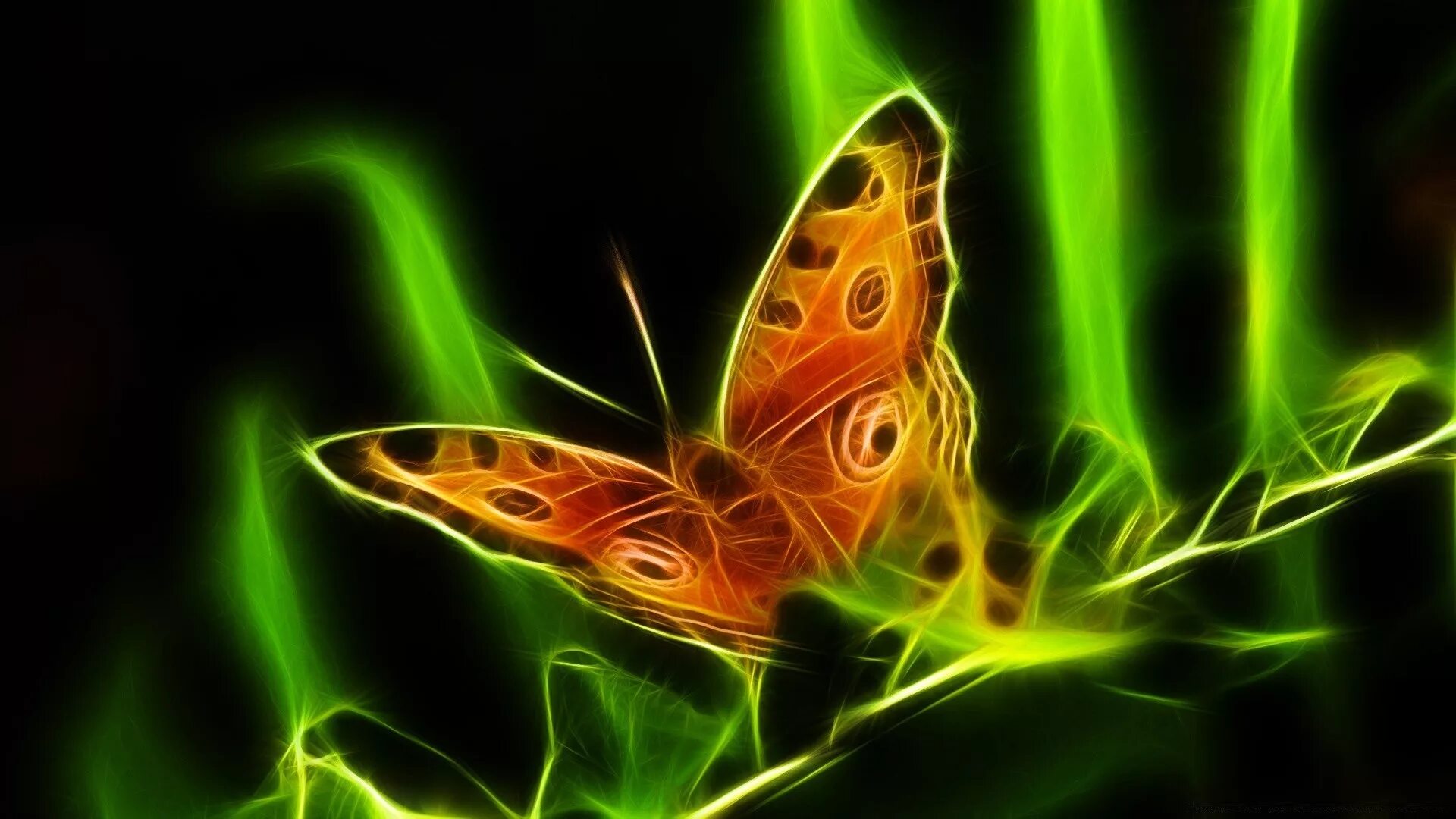 Живые обои зеленые. Бабочки. Бабочка абстракция. Неоновые бабочки. Обои с бабочками.