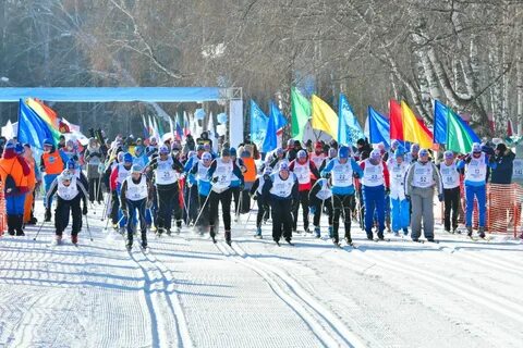 Новосибирск 1500