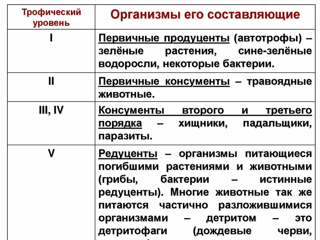 Консументы 2 порядка характерные особенности