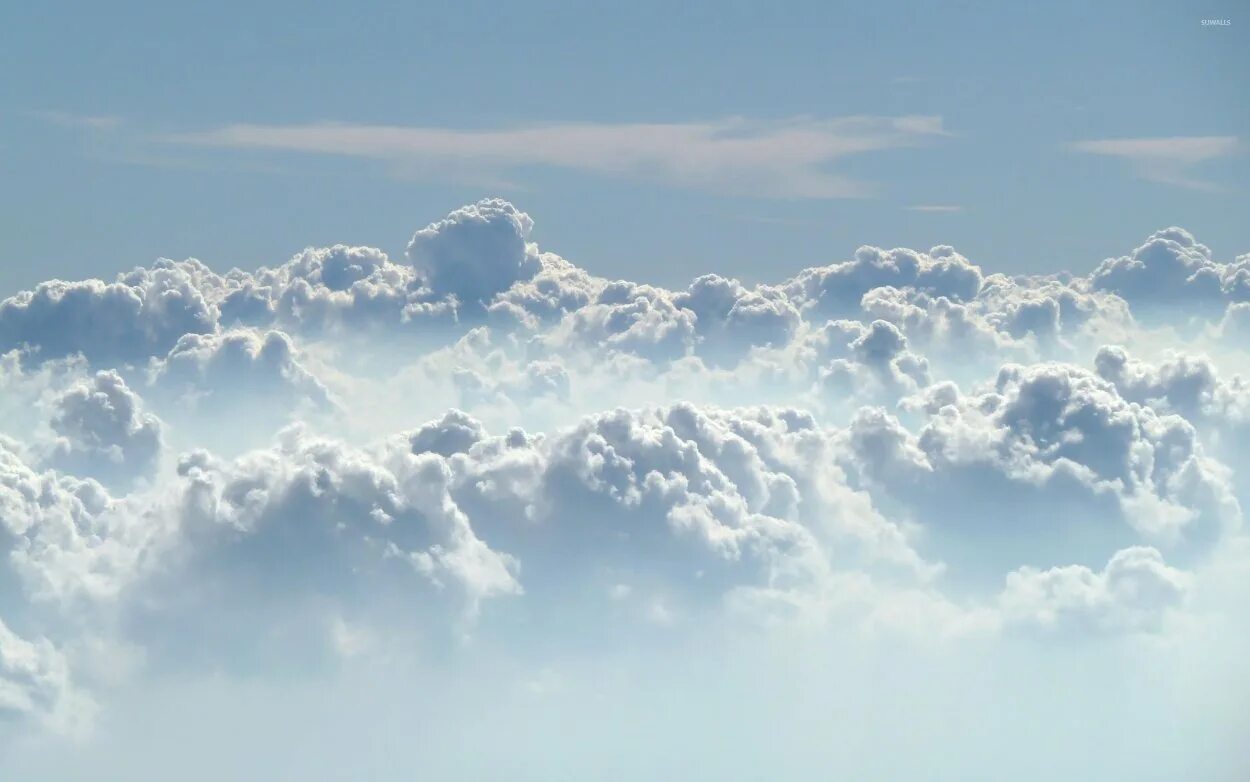 Back cloud