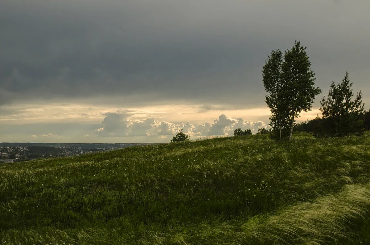 утро туман. туман речка кострома. рассвет туман. природа в темных тонах. тени сизые смесились тютчев.