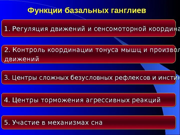 Роль базальных ядер в регуляции движения. Функции базальных ганглиев. роль базальных ганглиев в регуляции движения. физиологическая роль базальных ганглиев. базальные ганглии функции.