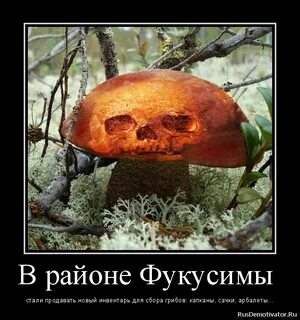 Грибы пошли прикол