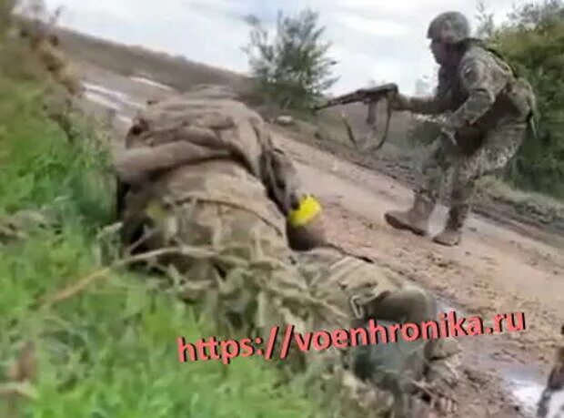 Попали в засаду Украина. Новости украины сегодня видео военхроника