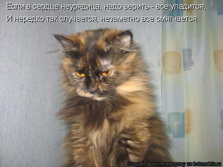 неурядица это